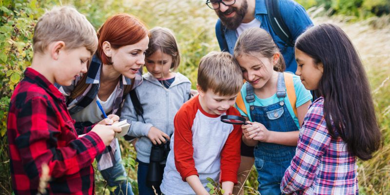 A group of small school children with teacher on field trip in nature, learning science.